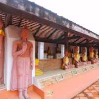 "วัดมหาธาตุวรวิหาร" 