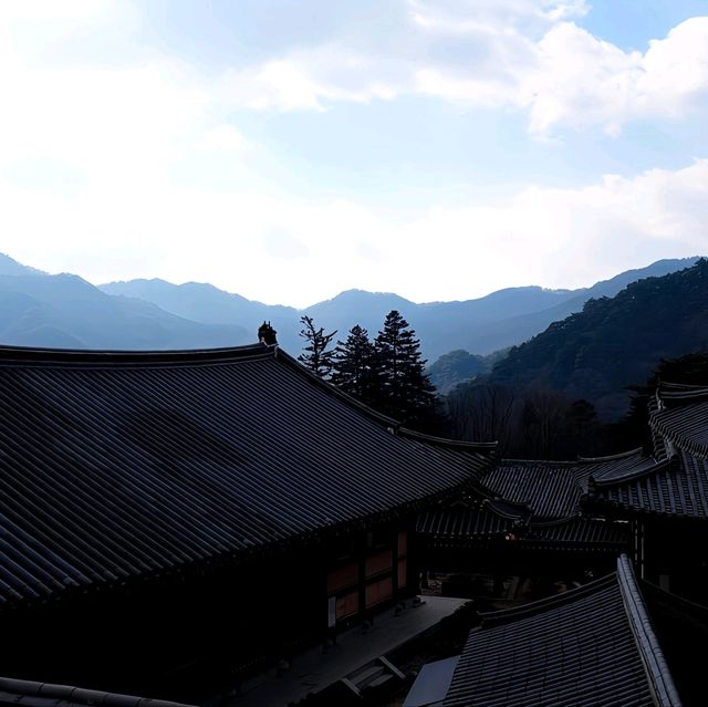 韓國大邱_Haeinsa Temple 해인사 世界文化遺產