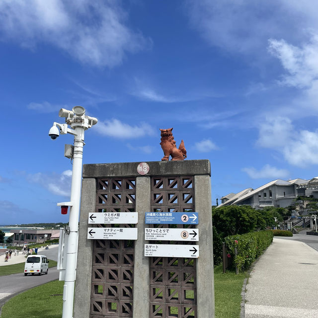 🇯🇵沖縄　📍美ら海水族館