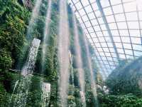 Eco Wonders: A Cloud Forest Expedition