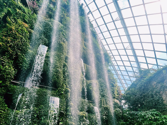 Eco Wonders: A Cloud Forest Expedition