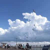 하늘이 너무 예뻤던 공원☁️