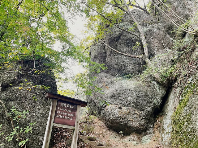 Discover the Majestic Iwadonosan Summit