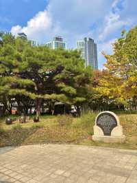 2021년 국가 유산보물로 선정된 대구 경상감영공원✨💛
