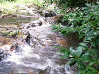 น้ำตกคลองลาน..ธรรมชาติสุดๆ