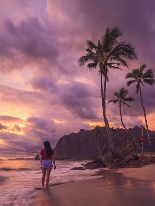 🌴Why Hawaii is a must for Palm Tree Lovers 🌴