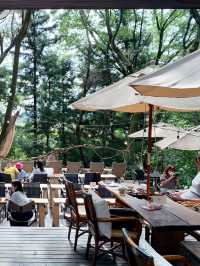 【宇都宮アルプスの森 京屋茶舗】