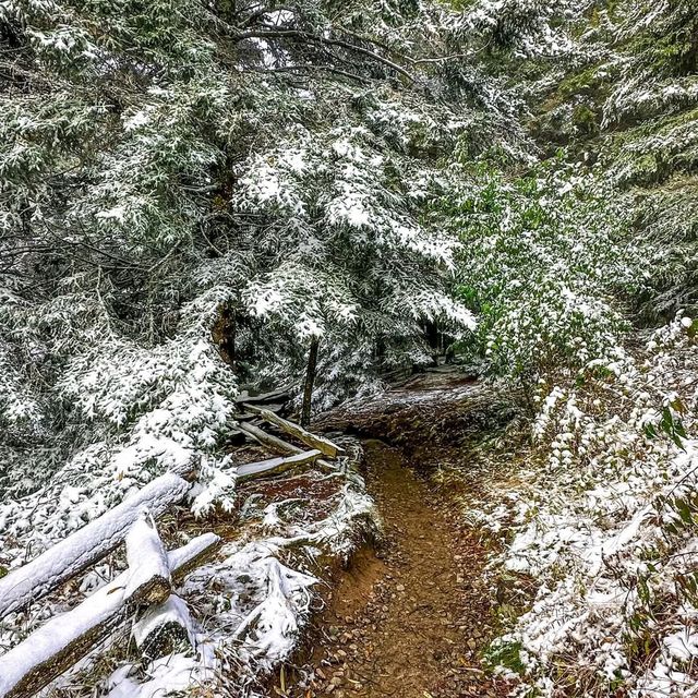 Asheville, North Carolina
