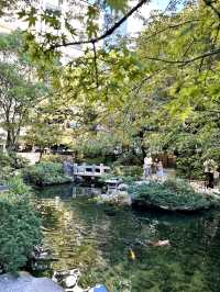 駅からほど近いオフィス街にある日本庭園