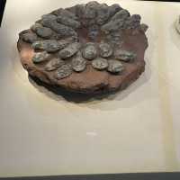 พิพิธภัณท์ ไดโนเสาร์ เมือง erlian
