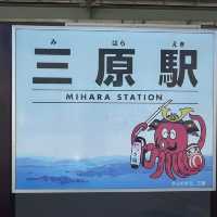 被兔子療癒的感覺