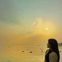 深圳灣公園｜12月深圳的浪漫是日落和海鷗給的
