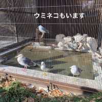 動物に癒されよう！のんほいパーク(豊橋総合動植物公園）