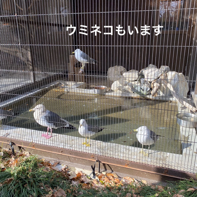 動物に癒されよう！のんほいパーク(豊橋総合動植物公園）