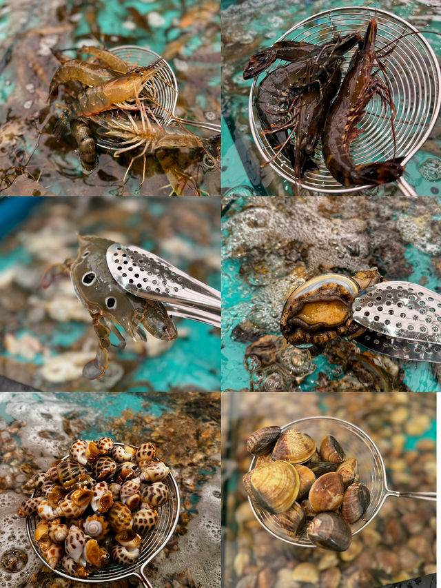 《$318體驗2小時即撈海鮮火鍋放題❣️》