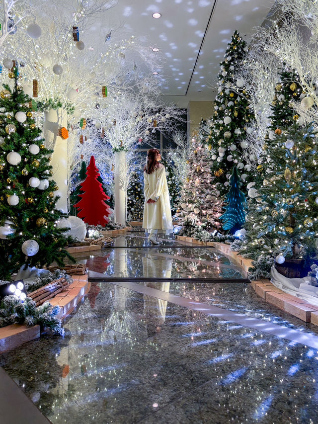 【無料で見れるイルミ！✨】グランドハイアットのイルミネーションが今年も美しすぎる！❄️🎄