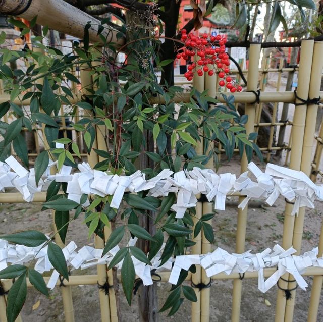 【大阪】大阪を見守り続ける高津神社