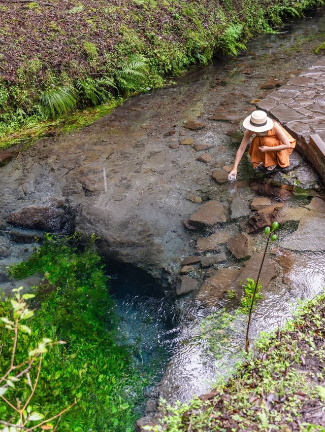 【大分県/由布市】まるでジブリの世界！？美しすぎる湧水群