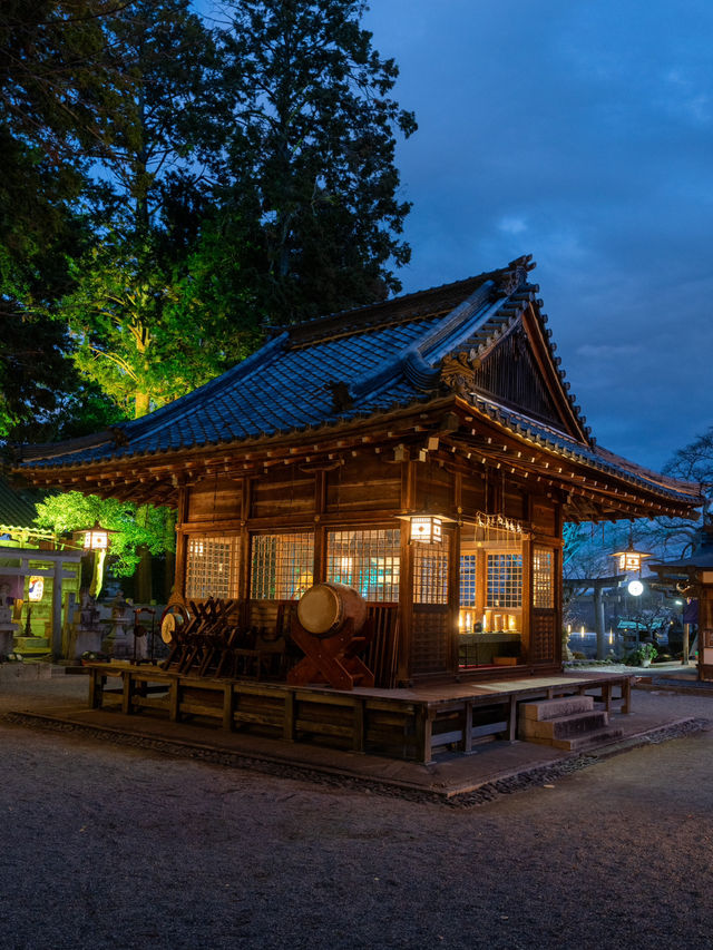 志を立て祈る神社 花手水もライトアップする滋賀県唯一の神社 12/14~1/12迄。⛩