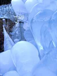 【秩父の冬の風物詩】三大氷柱  電車とのツーショットも撮れる氷柱