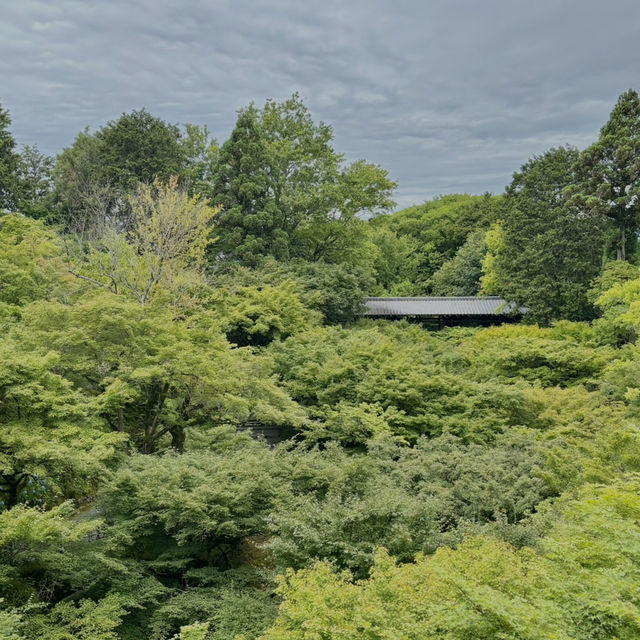 在東福寺尋找心靈的寧靜🌳