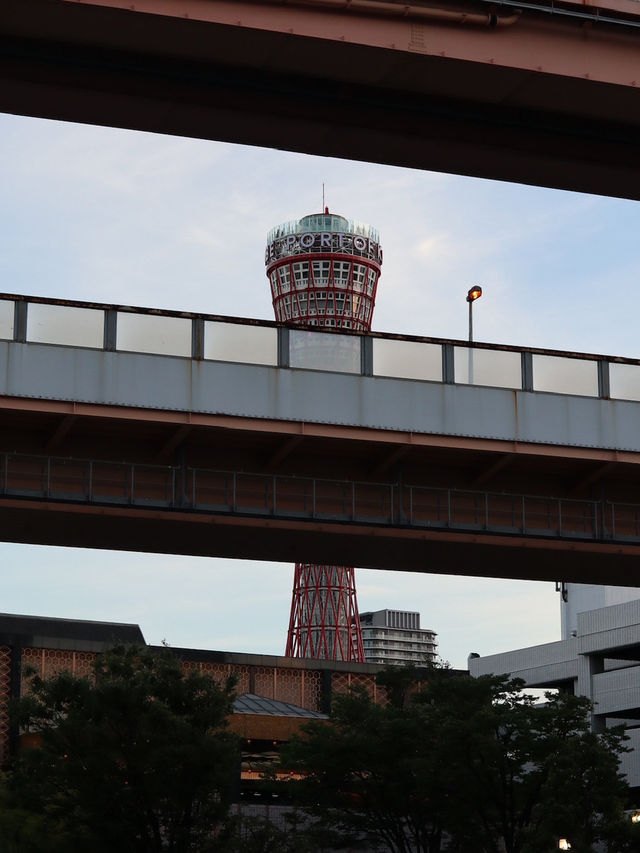 Discover Serenity and Skyline Views at the Port of Kobe