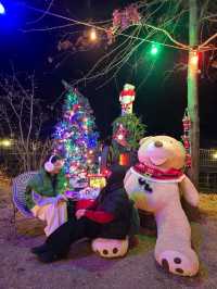 대형 거꾸로 트리가 반짝이는 여주카페🎄