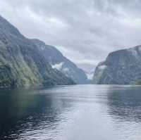 Doubtful Sound: A Must-Visit 🇳🇿