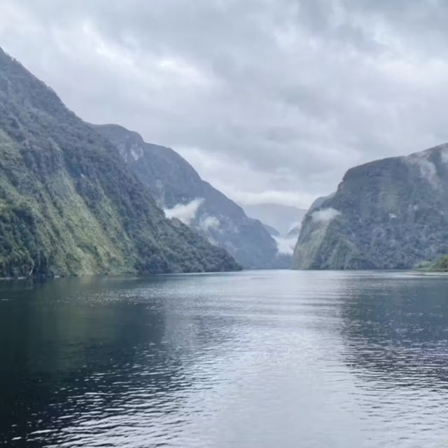 Doubtful Sound: A Must-Visit 🇳🇿