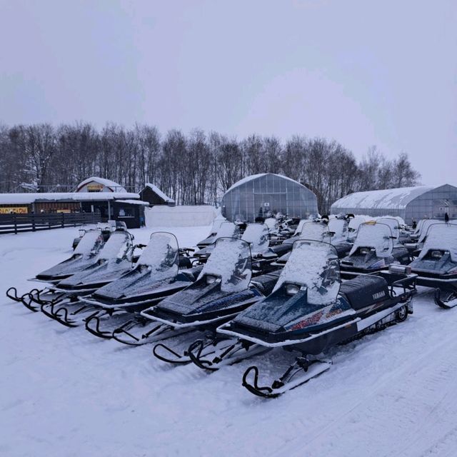 北海道旅遊🥳四季彩之丘雪景打卡熱點💓自駕雪車體驗分享🛞