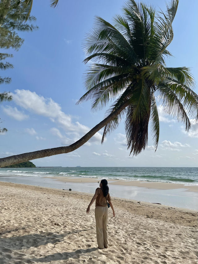 📍Check in ชุมพร เดินเล่นชายหาด แวะร้านชิลริมทะเล