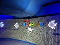 一日遊：探索首爾的COEX水族館之旅 🐠