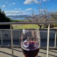 The Coal Valley Vineyard