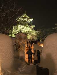 【秋田】幻想的な景観が広がる✨雪国ならではの映えイベント❄️※お得情報付き