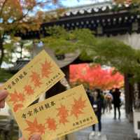 京都へ行こう！京都の紅葉【永観堂】🍁