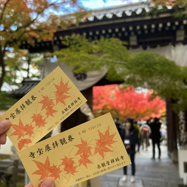 京都へ行こう！京都の紅葉【永観堂】🍁