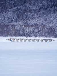 【北海道】崩壊寸前！崩れる前に見に行きたい遺構
