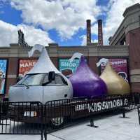 A sneak peak into the chocolate world! 