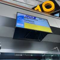 Experience flying All Nippon Airways
