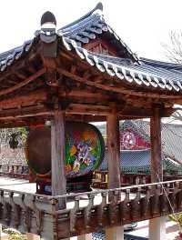 韓國大邱_秋意必訪 桐華寺Donghwasa Temple