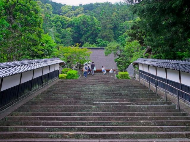 【駿府城下町（①今川氏の栄耀と寺社）】（静岡県静岡市　旧国名：駿河）