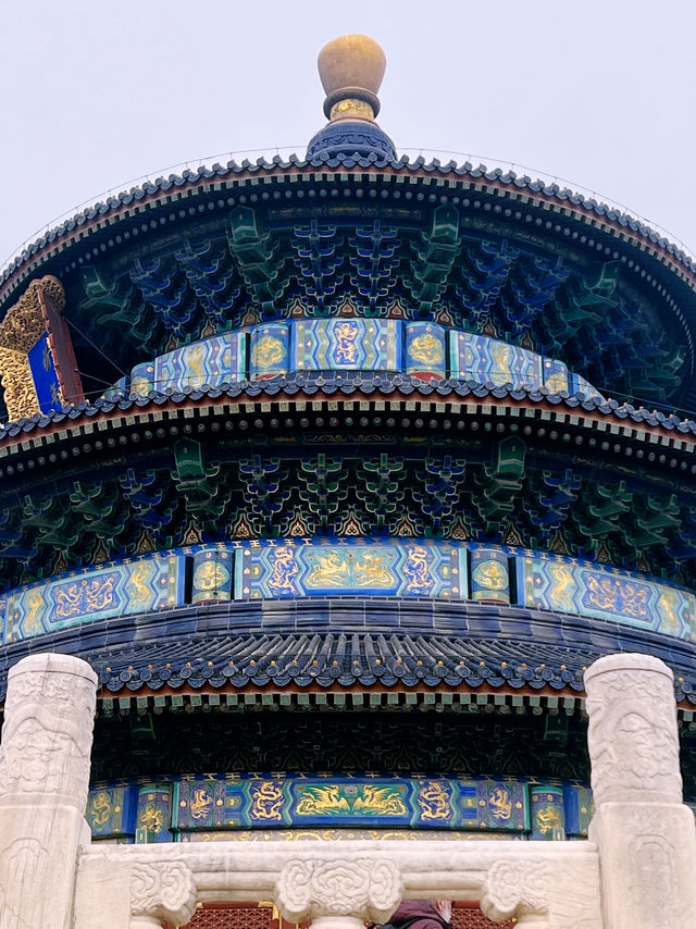 The Temple of Heaven Park in fall🍁