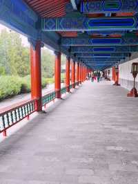 The Temple of Heaven Park in fall🍁