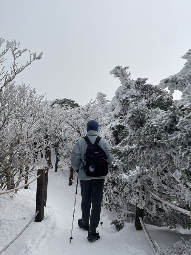예약이 필요없는 등린이도 가능한 눈꽃산행
