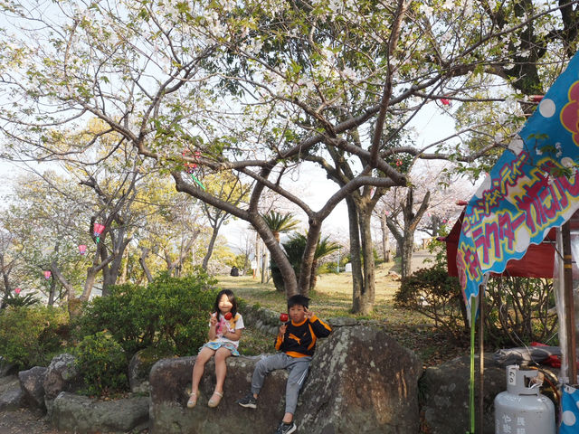 長崎市賞櫻勝地🌸立山公園+ 櫻花祭典