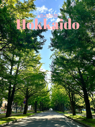 【홋카이도 × 3박 4일 여행】 홋카이도 대학의 은행나무 가로수와 메이지 시대의 목조 축사