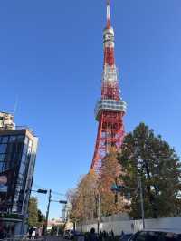 🇯🇵 東京鐵塔這樣玩🗼！