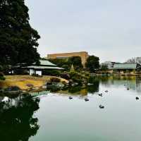 大濠公園·日本庭園-清幽小橋流水
