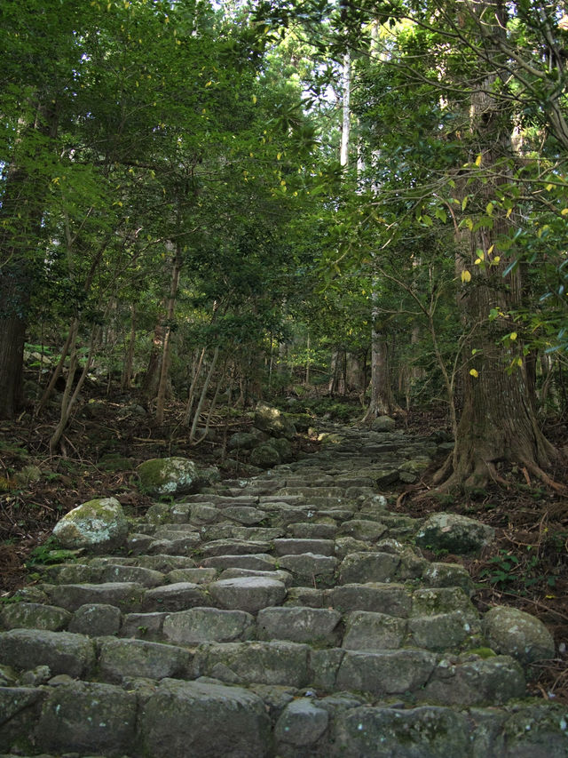 【和歌山】日本三大名瀑✨マイナスイオンを浴び、滝と五重塔のセット見に行こう📸