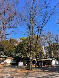 【埼玉浦和】ウサギがお出迎えしてくれる調神社✨